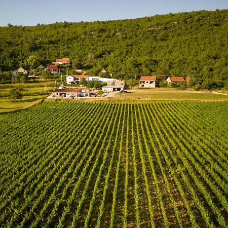 Villa Krolo Villa&wine Trilj